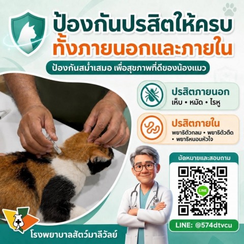 โรงพยาบาลสัตว์มาลีวัลย์ (17)